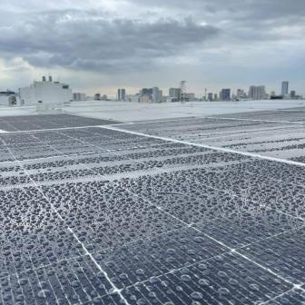 Tấm Pin Quang Điện: C&ocirc;ng Nghệ Cốt L&otilde;i Của Điện Năng Lượng Mặt Trời